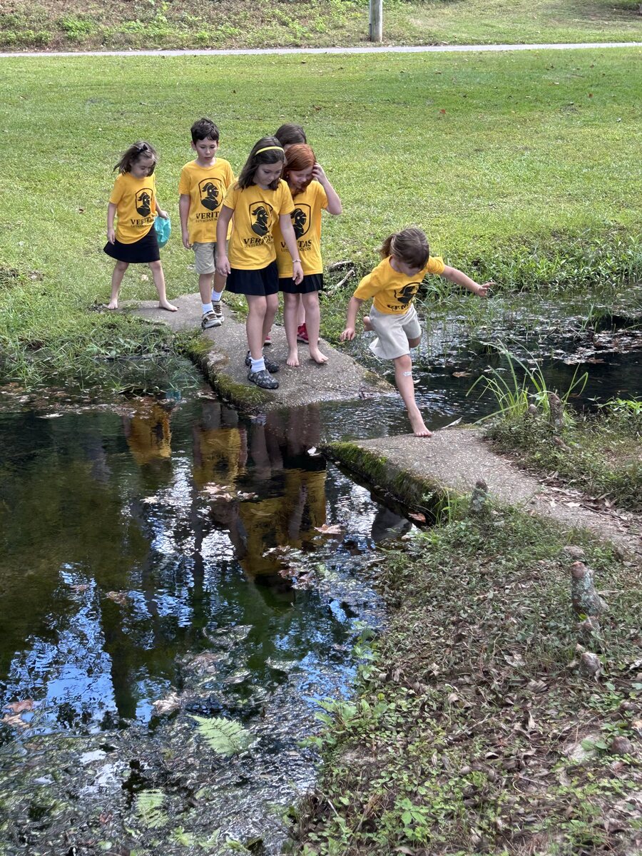 Veritas students observing a creek together outdoors